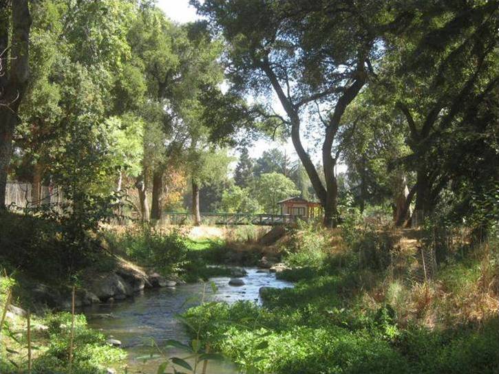 Stevens Creek after restoration