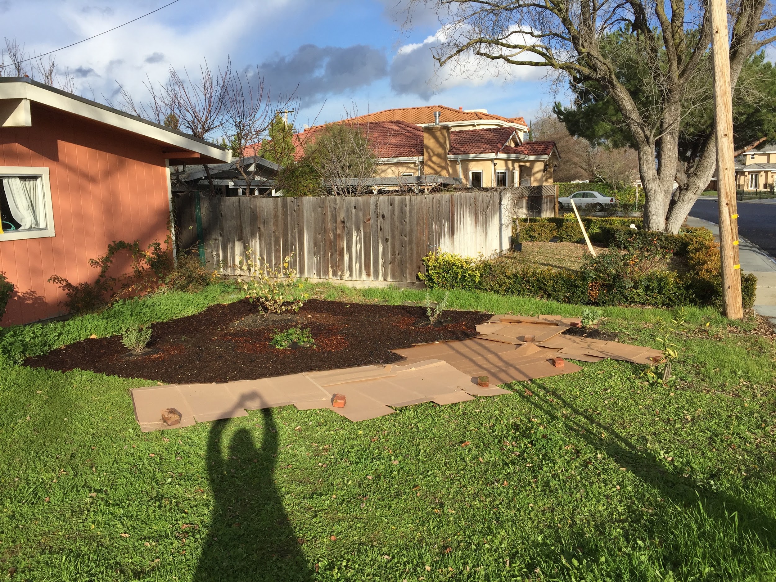 Beginning mulch-work for the garden