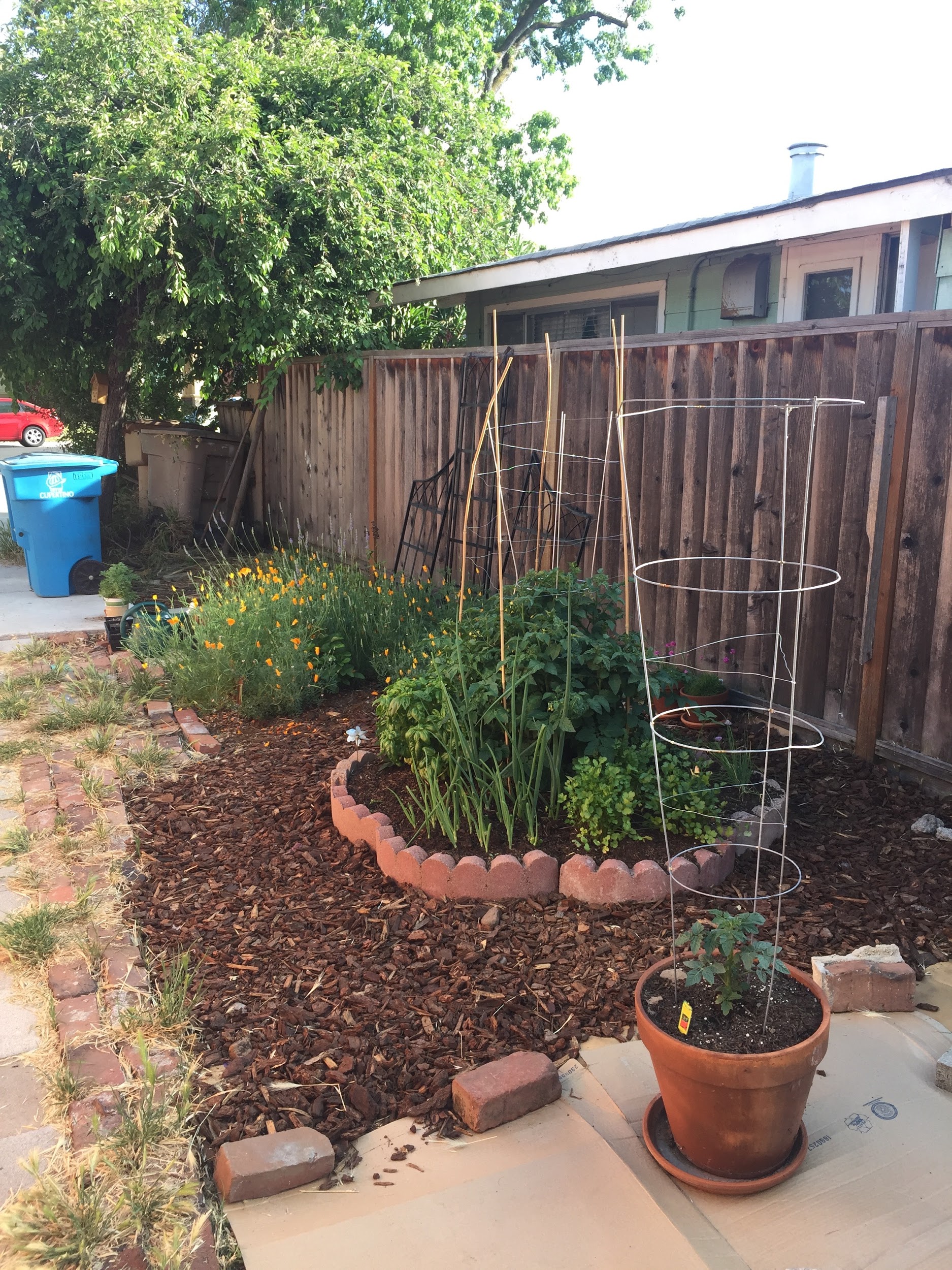 The finished sideyard vegetable/pollinator garden
