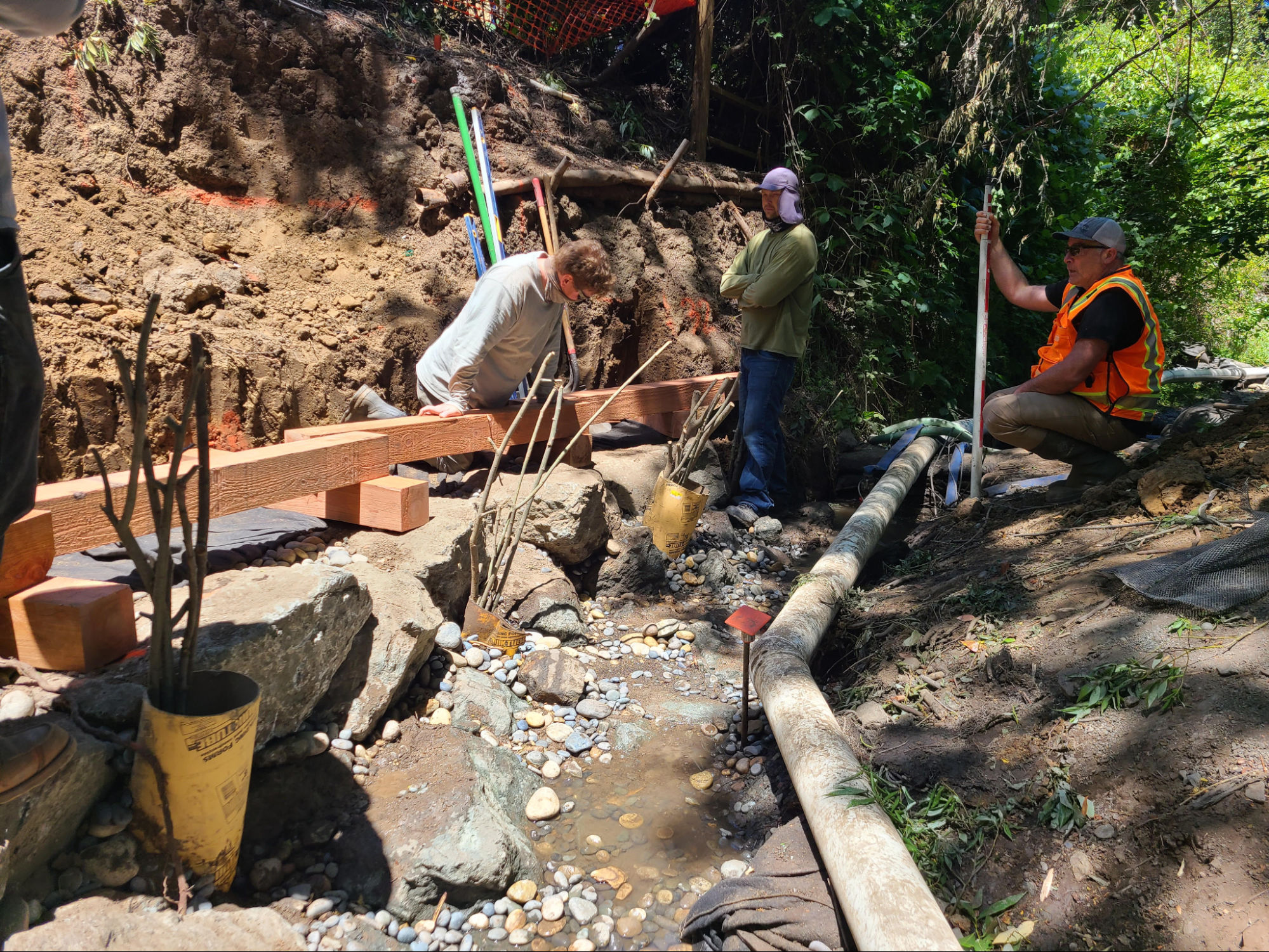 Adobe Creek bank restoration