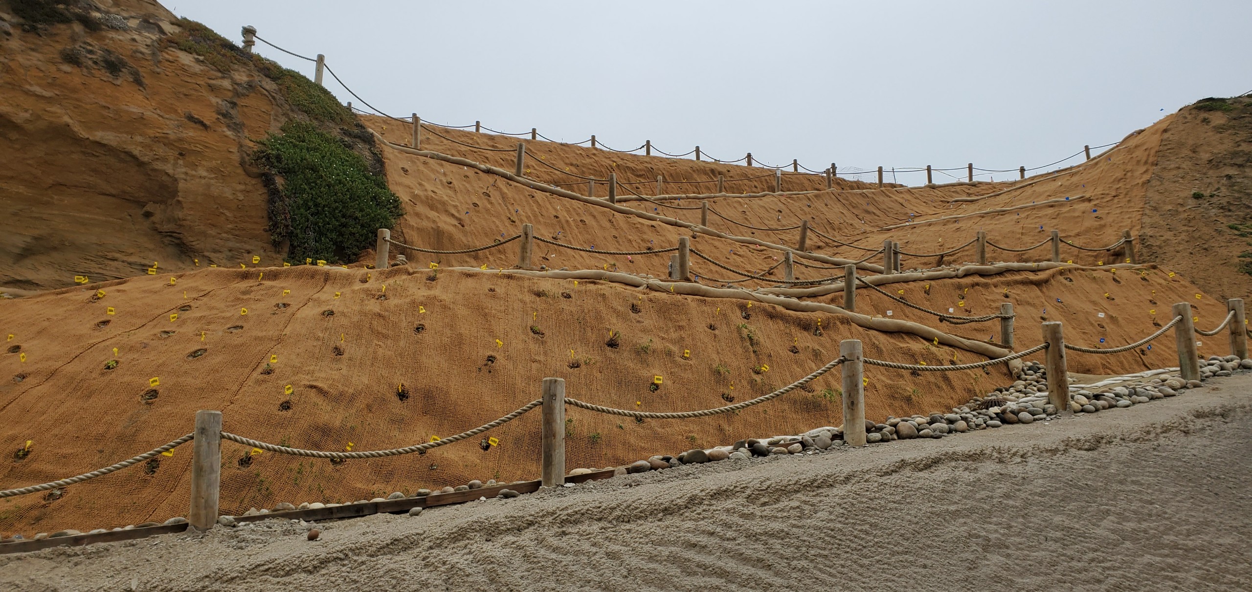 Ecological Restoration on Steep Slopes