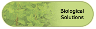 Biological Solutions
