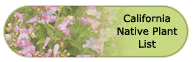 California Native Plant List