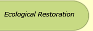 Ecological Restoration